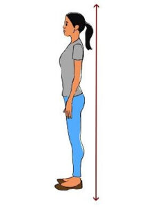 Ideal posture